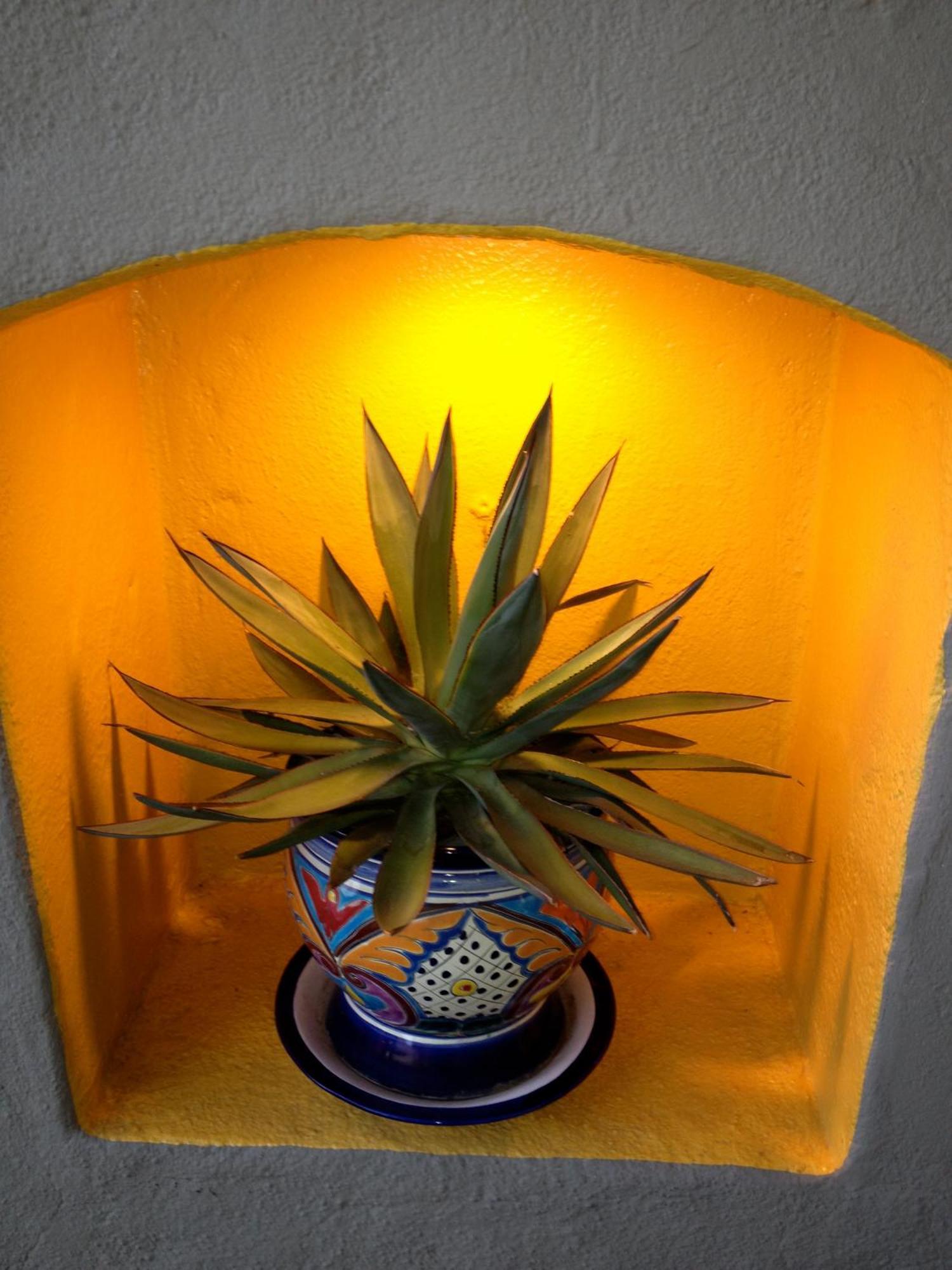 Agave Inn Santa Barbara Ngoại thất bức ảnh